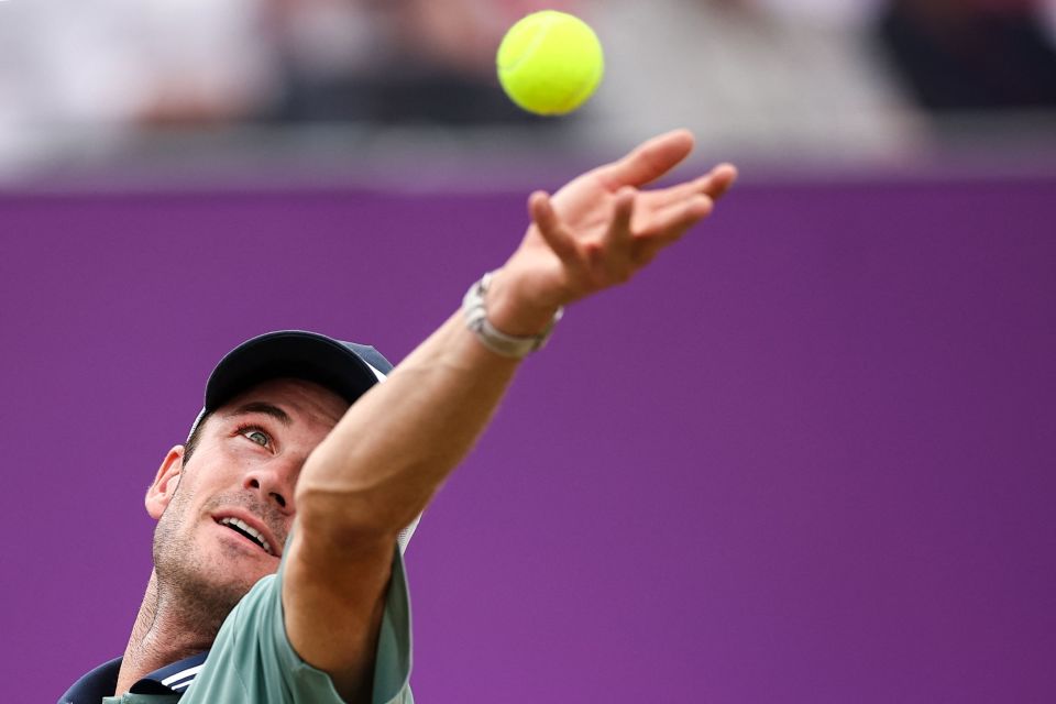 迅速崭露头 迅速崭露头