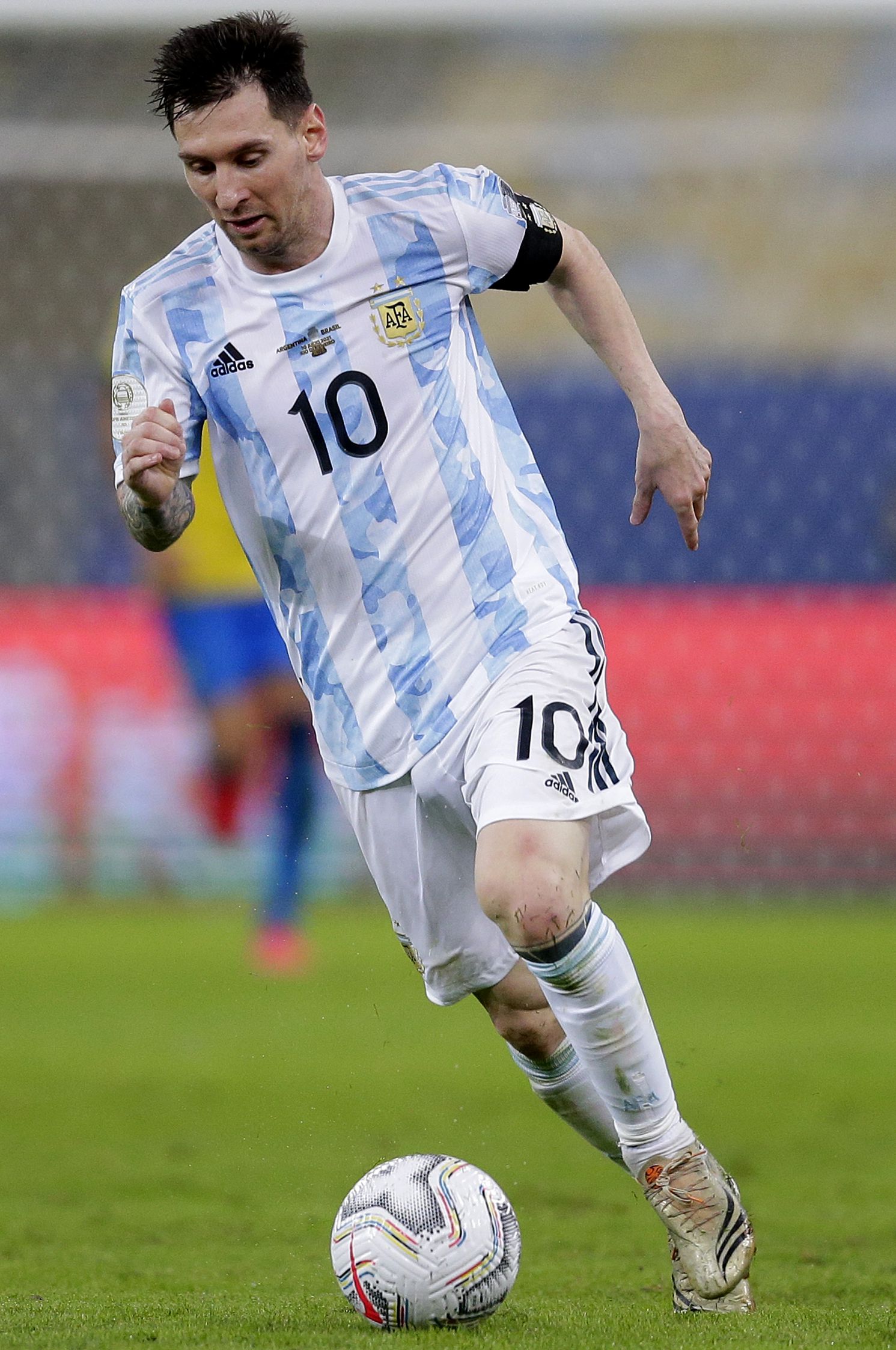 本期聚焦 本期聚焦