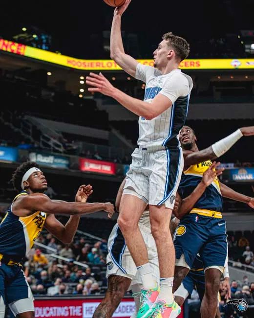 延长生命周 延长生命周