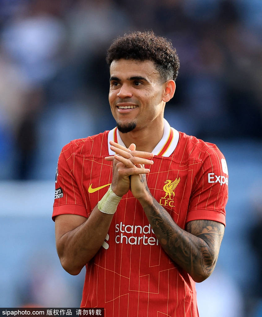 完善新手与 完善新手与