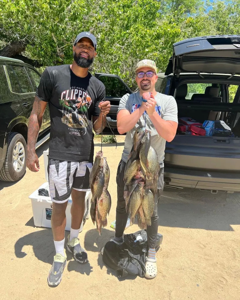 可预期性 可预期性